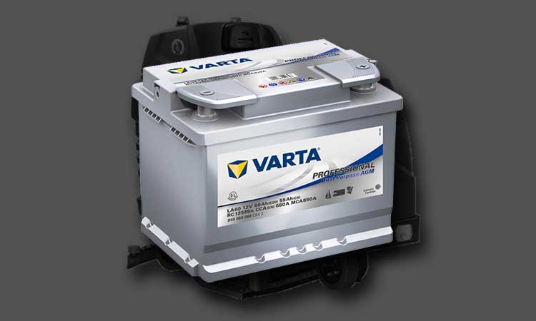 Batterie Varta Professional