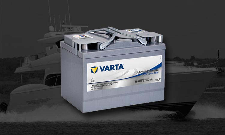 Batterie Varta Professional