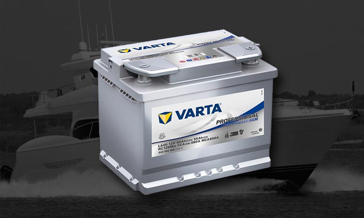 Batterie Varta Professional