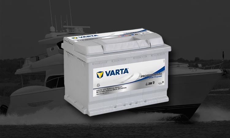 Batterie Varta Professional