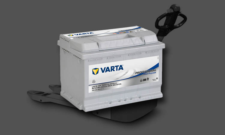 Batterie Varta Professional