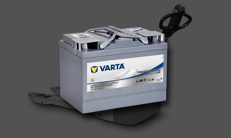 Batterie Varta Professional